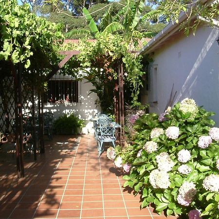 Vine Guesthouse Stellenbosch Exterior photo