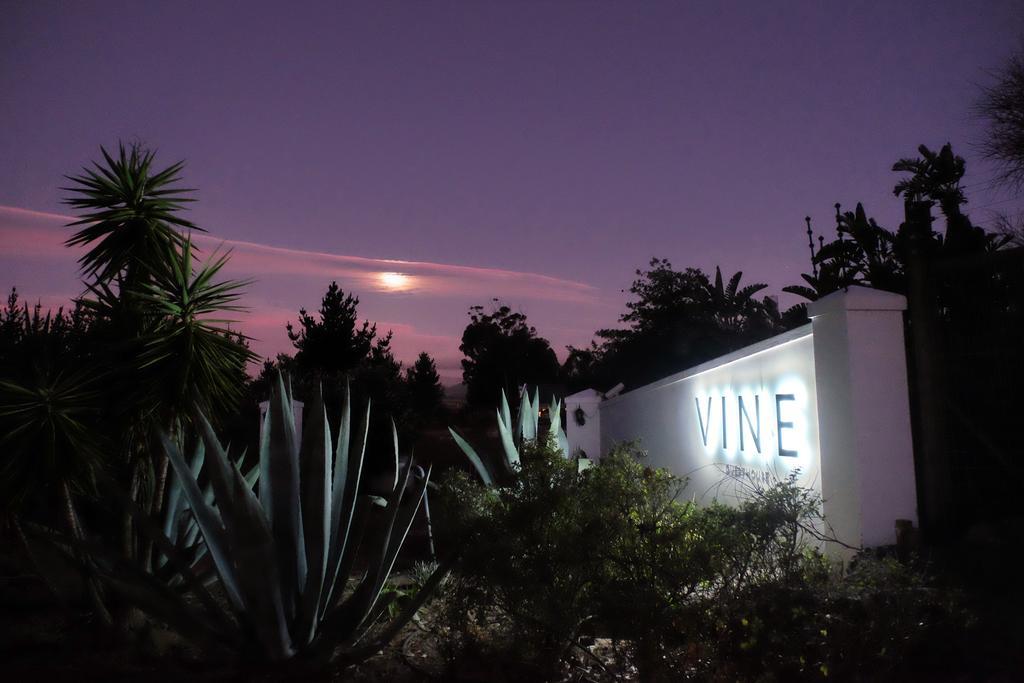 Vine Guesthouse Stellenbosch Exterior photo