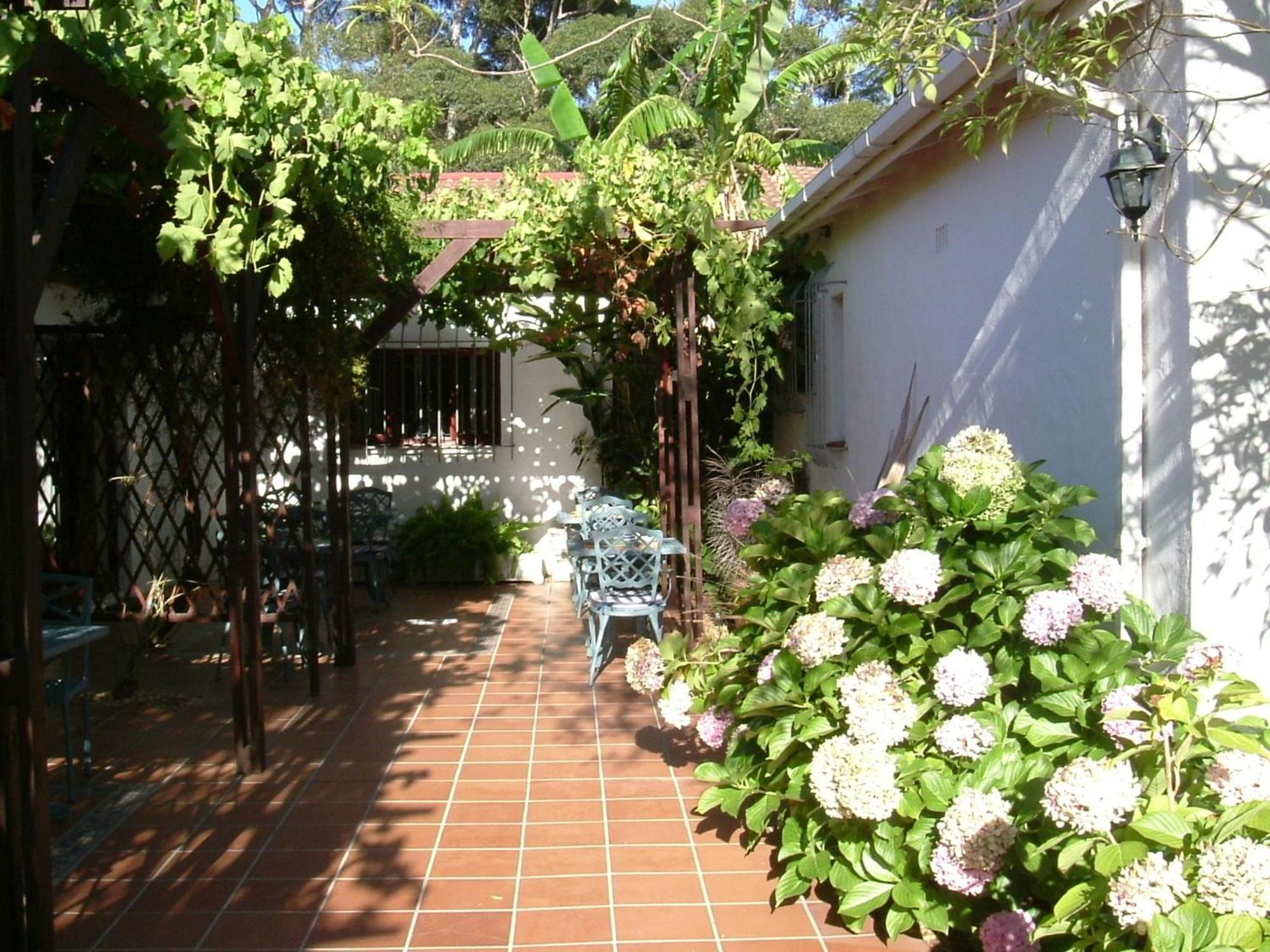 Vine Guesthouse Stellenbosch Exterior photo