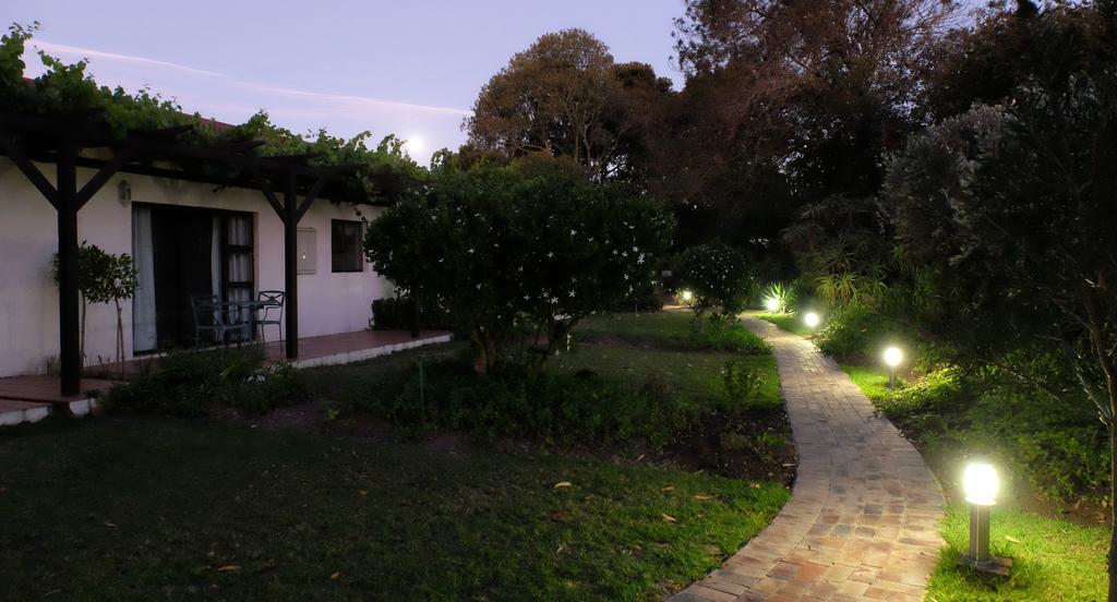 Vine Guesthouse Stellenbosch Exterior photo