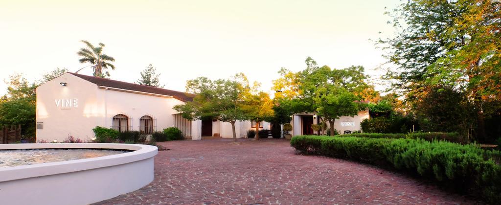 Vine Guesthouse Stellenbosch Exterior photo
