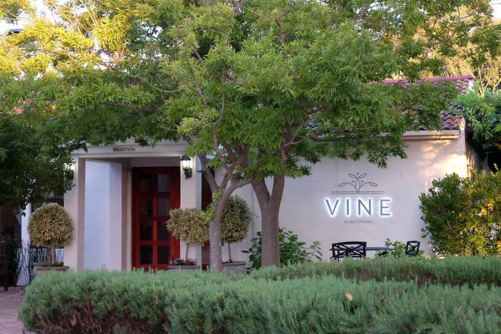 Vine Guesthouse Stellenbosch Exterior photo