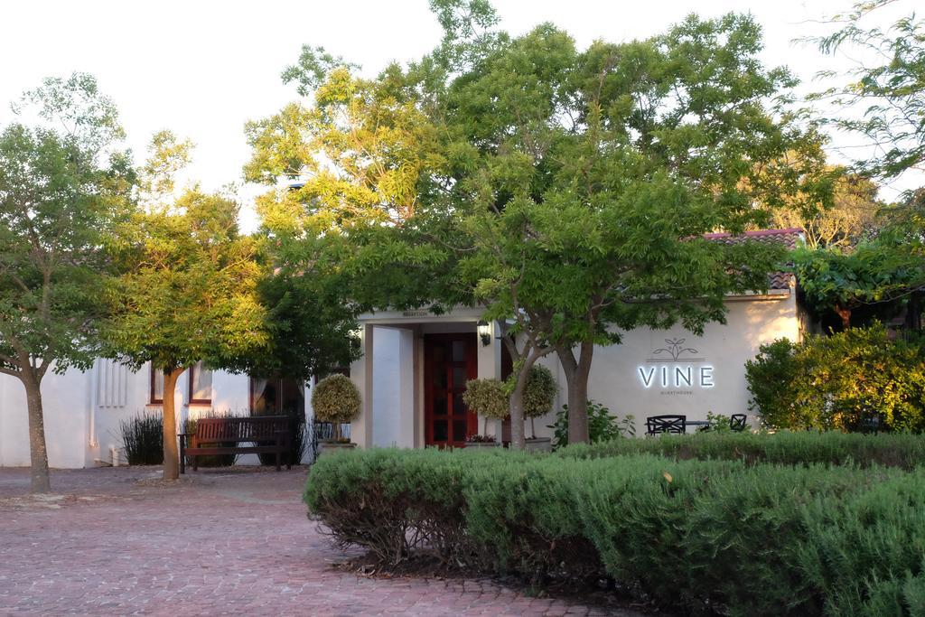Vine Guesthouse Stellenbosch Exterior photo