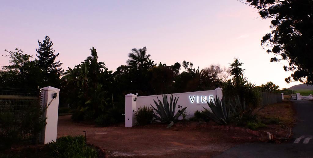 Vine Guesthouse Stellenbosch Exterior photo