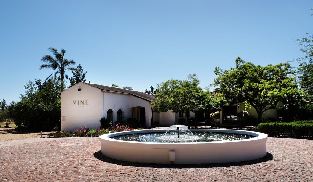 Vine Guesthouse Stellenbosch Exterior photo