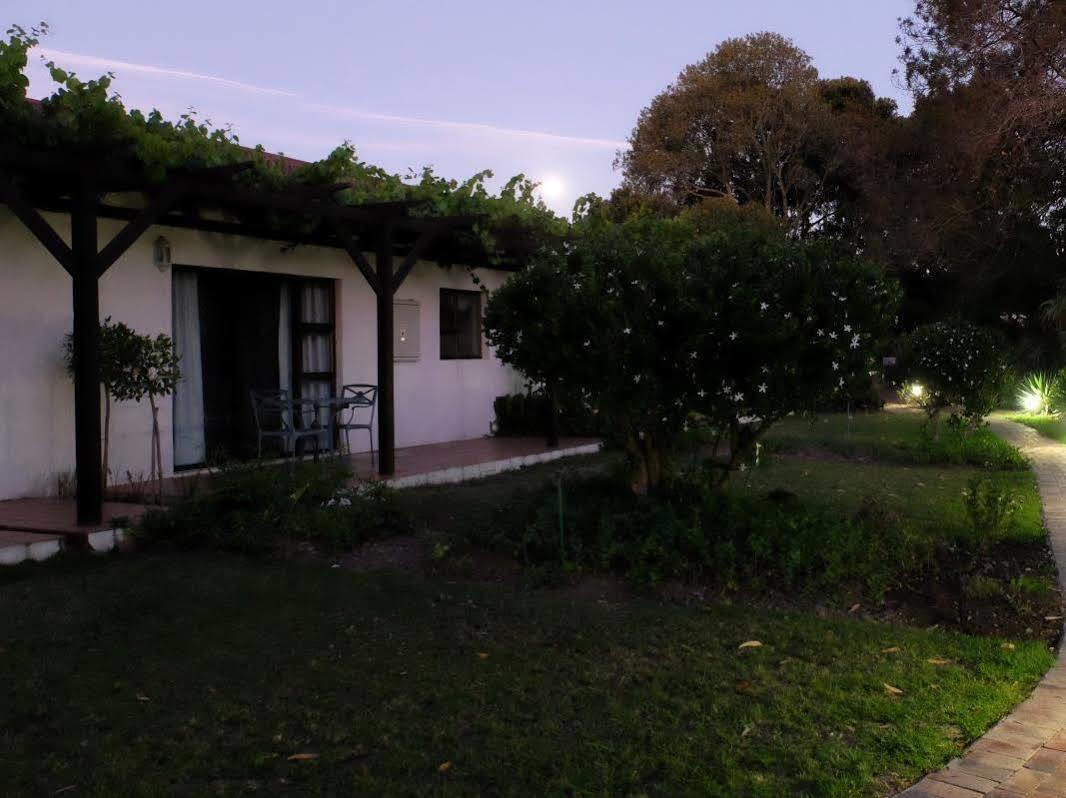 Vine Guesthouse Stellenbosch Exterior photo